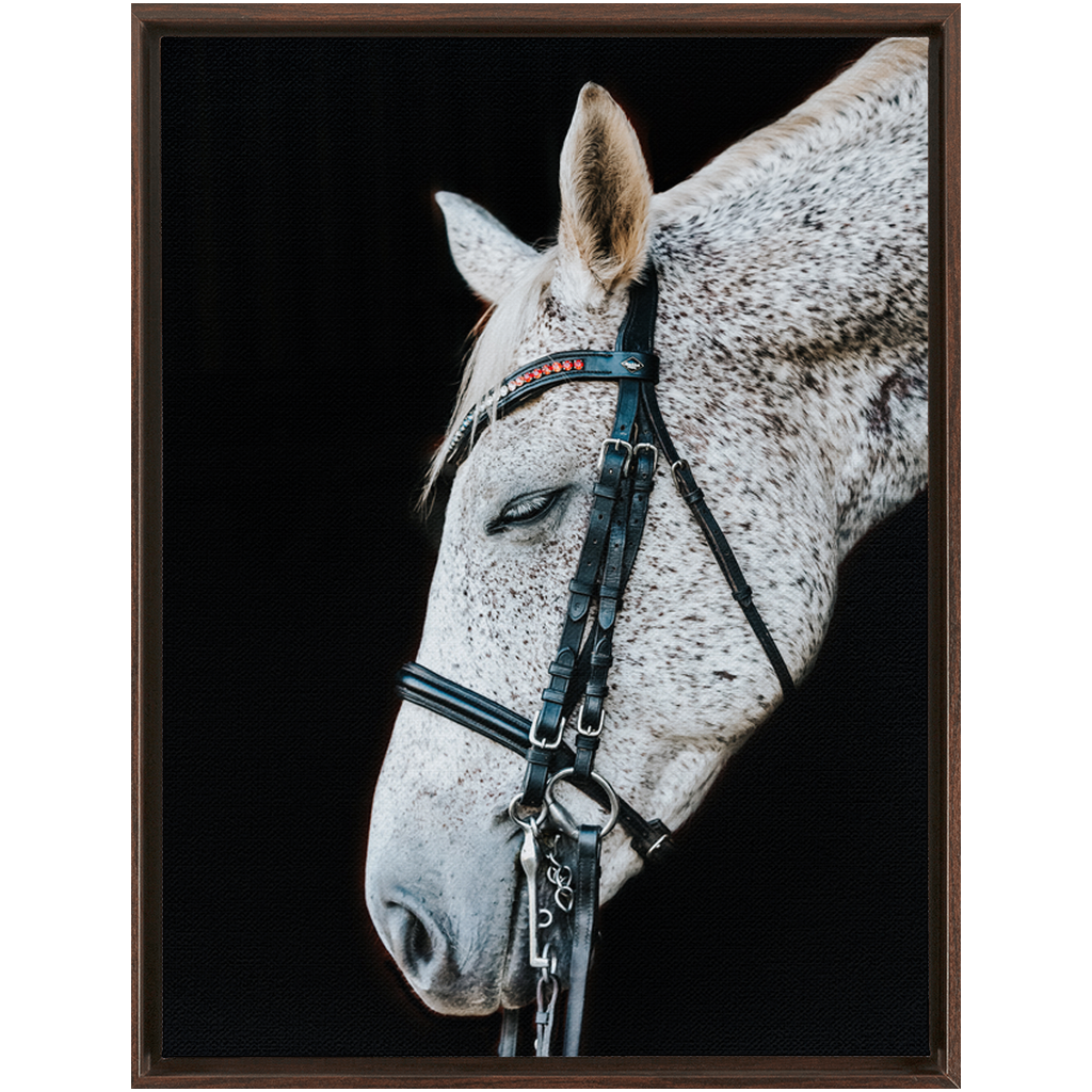 Apollo Series 1, Framed Canvas