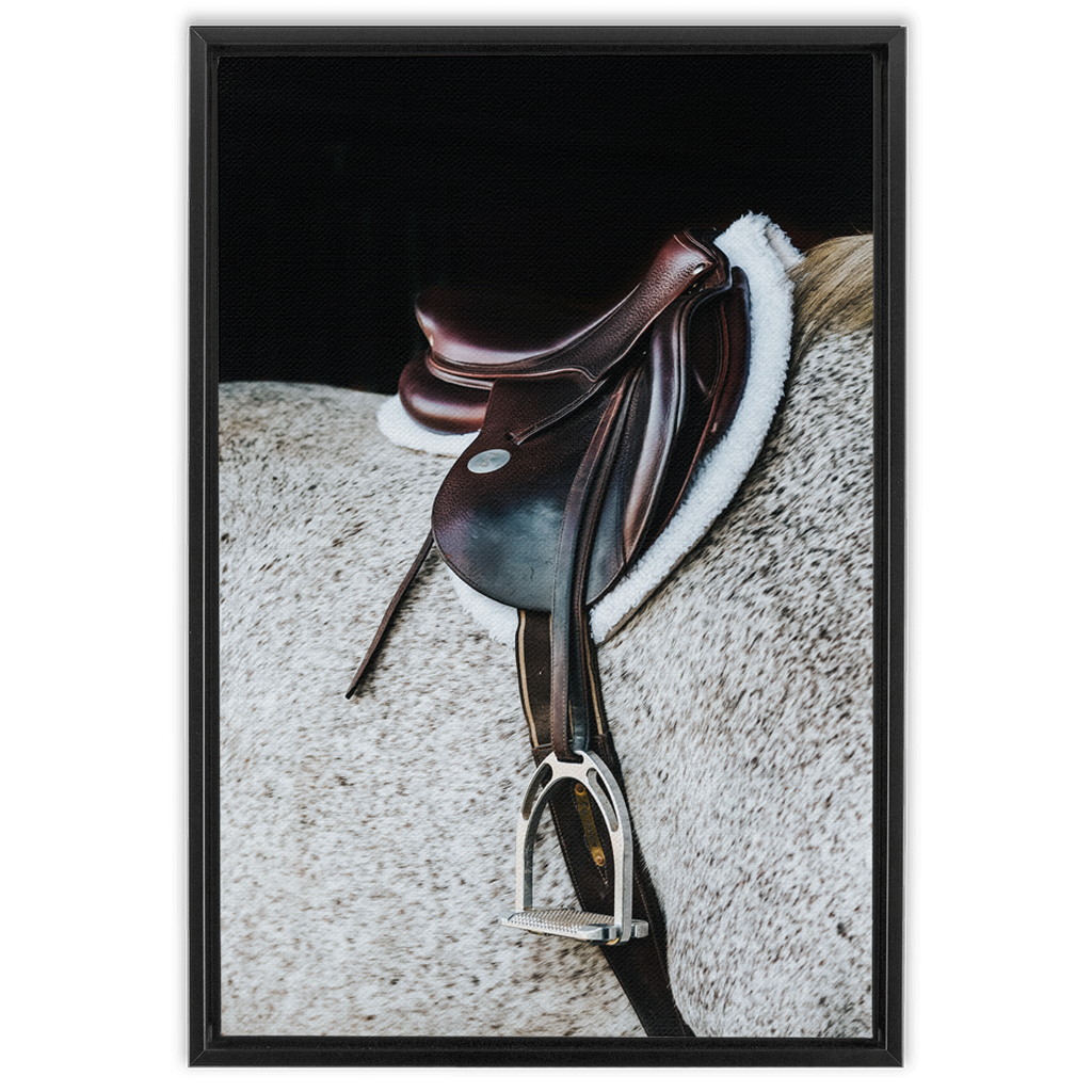 Apollo Series 3, Framed Canvas