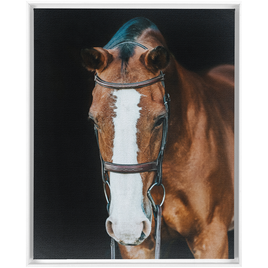 Huntsman Series 6, Framed Canvas