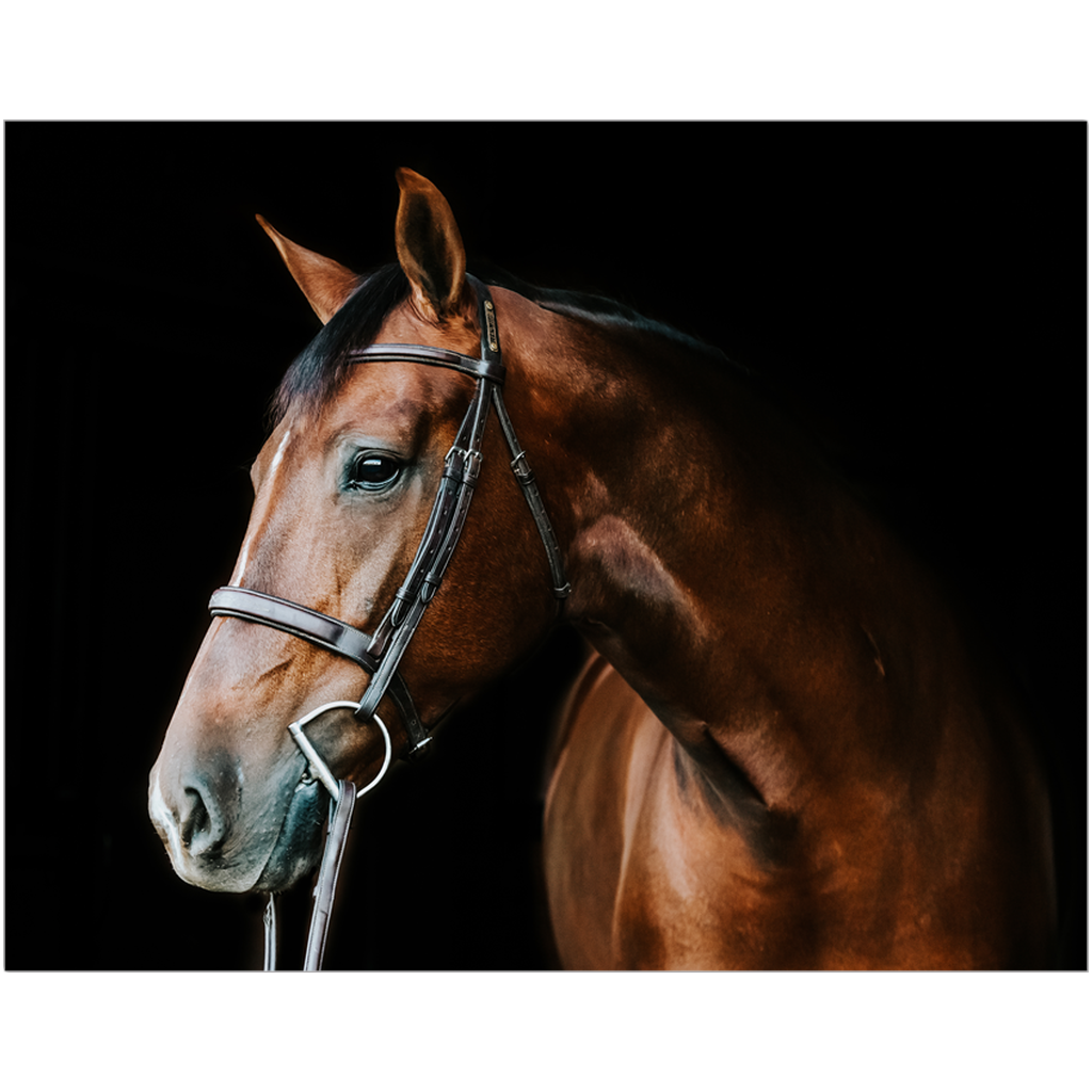Monterey Series 3, Print