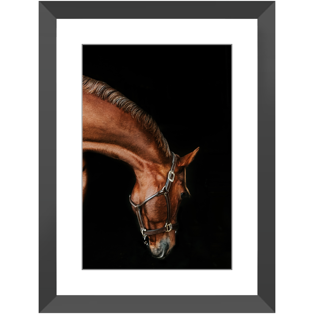 Django Series 6, Framed Print