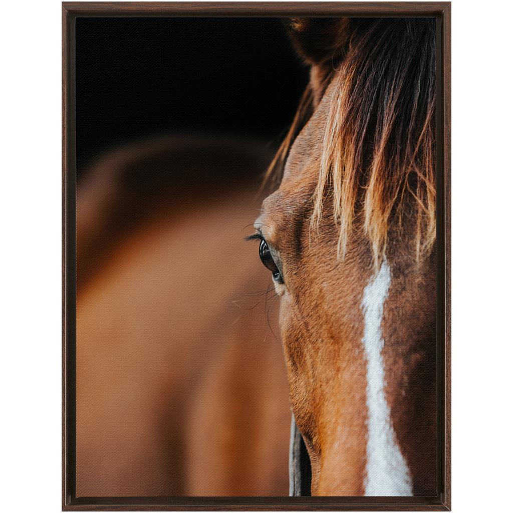 Majestic 1, Framed Canvas