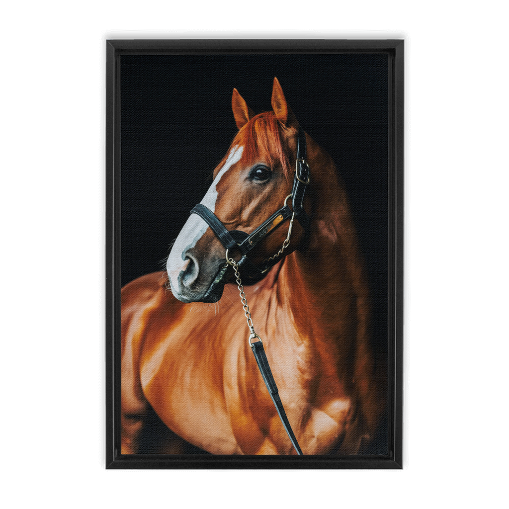 Justify Series 1, Framed Canvas