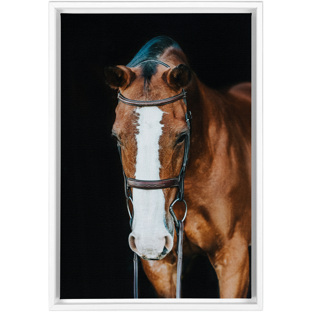 Huntsman Series 6, Framed Canvas