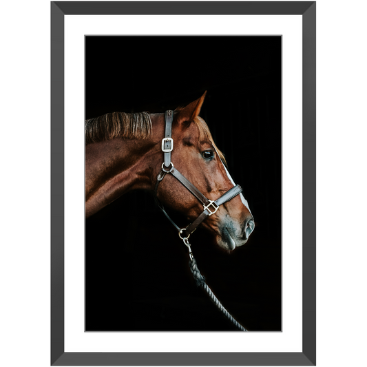 Django Series 3, Framed Print