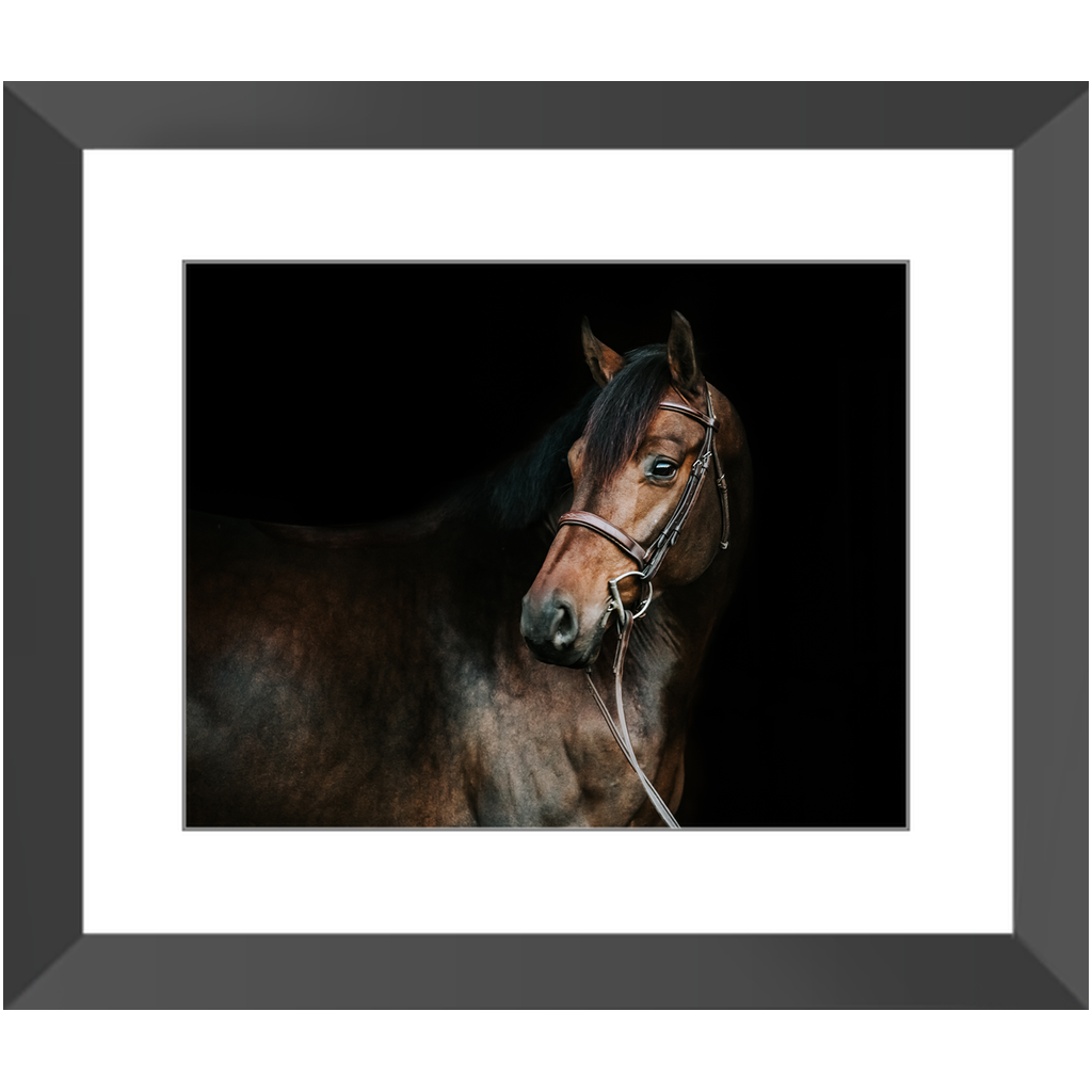 Jovial Series 2, Framed Print