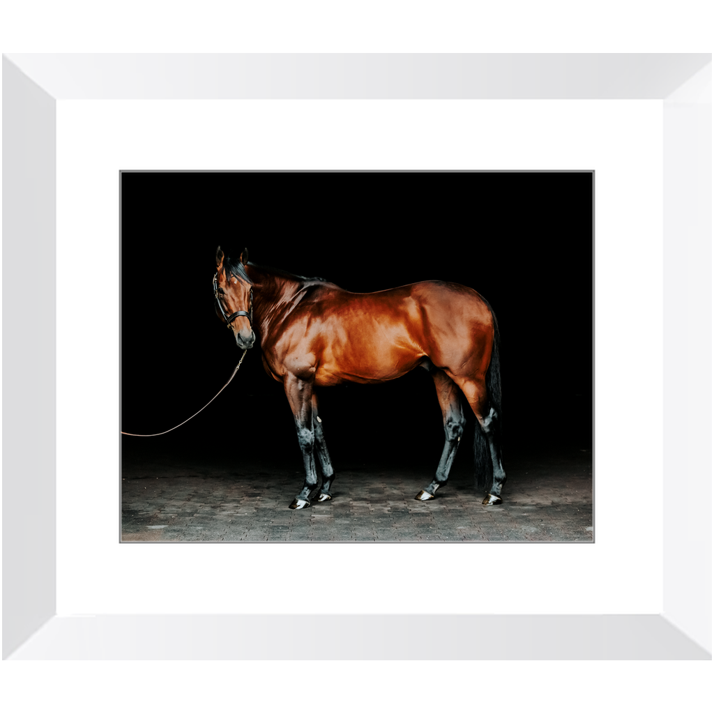 American Pharoah Series 1, Framed Print