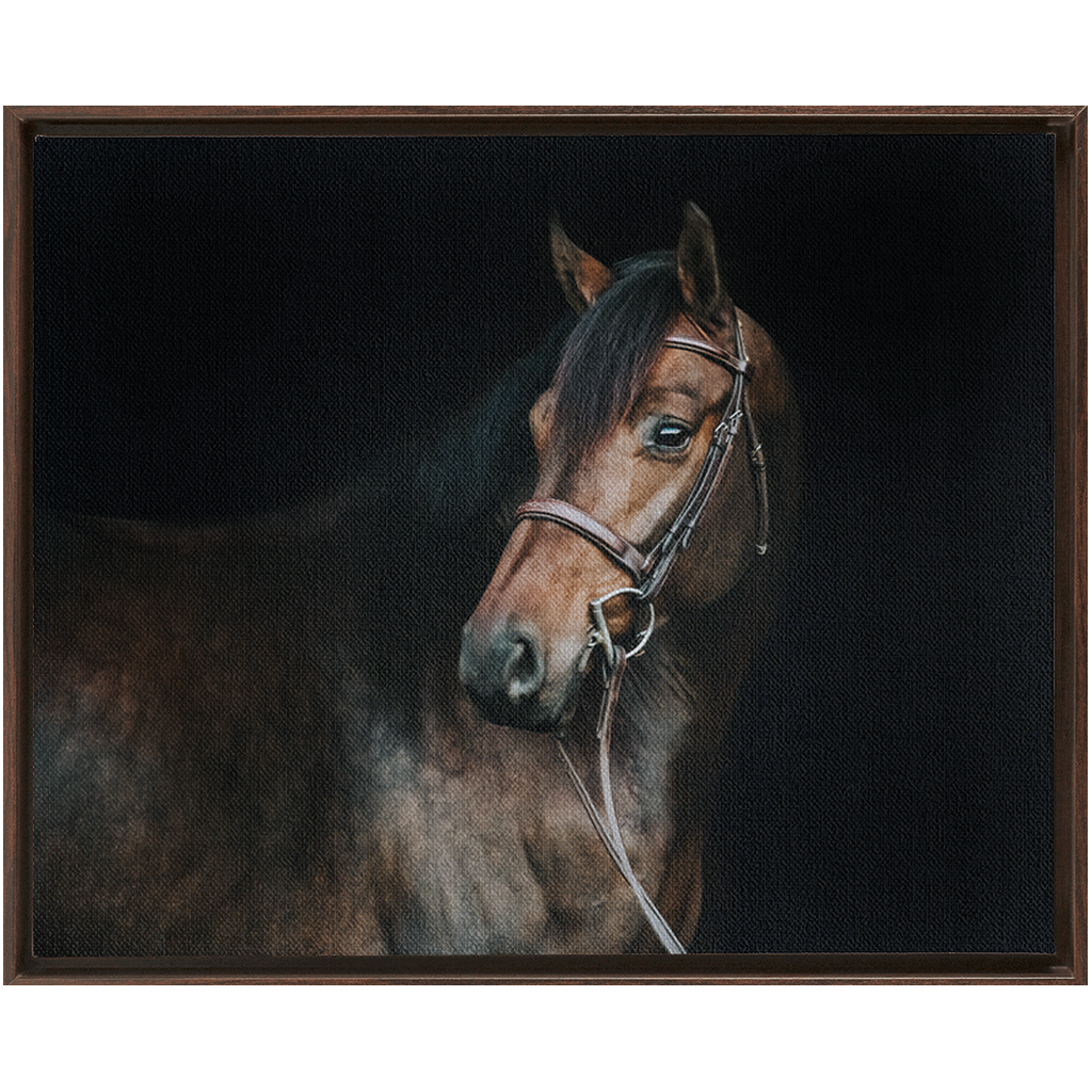 Jovial Series 2, Framed Canvas