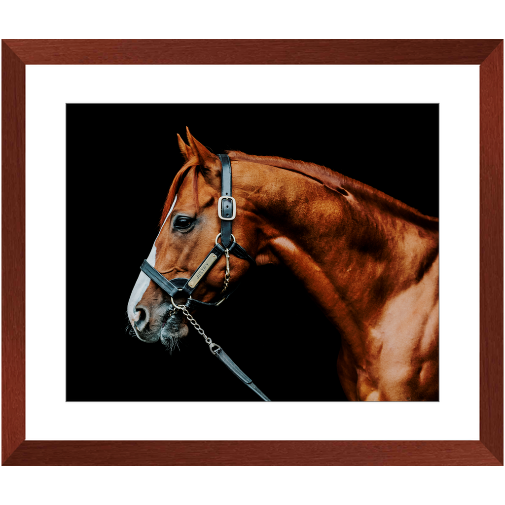 Justify Series 3, Framed Print