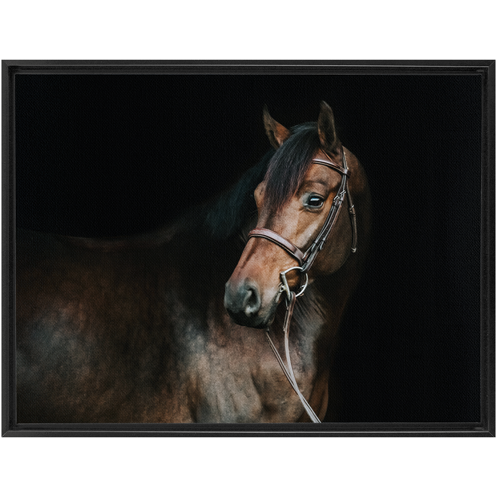 Jovial Series 2, Framed Canvas