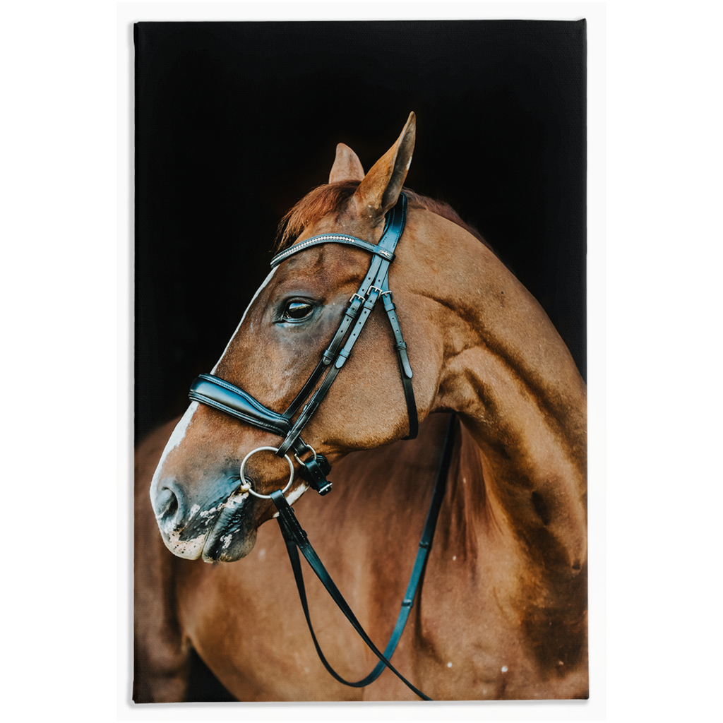 Hudson Series 6, Stretched Canvas