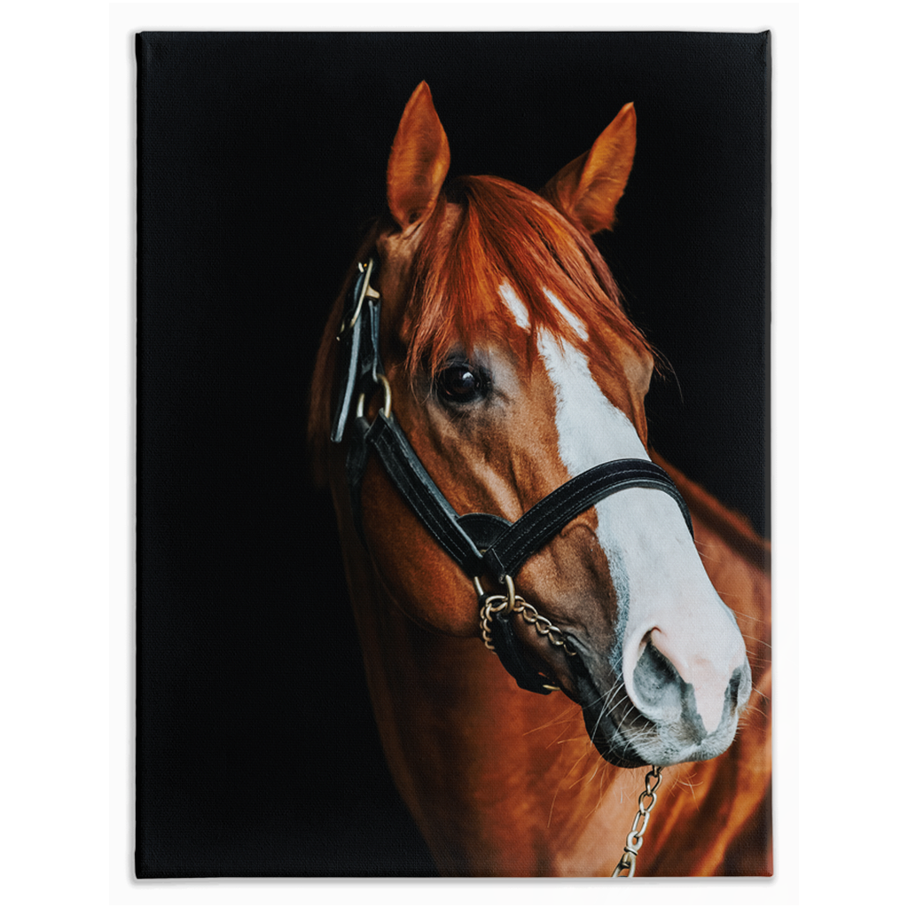 Justify Series 2, Stretched Canvas