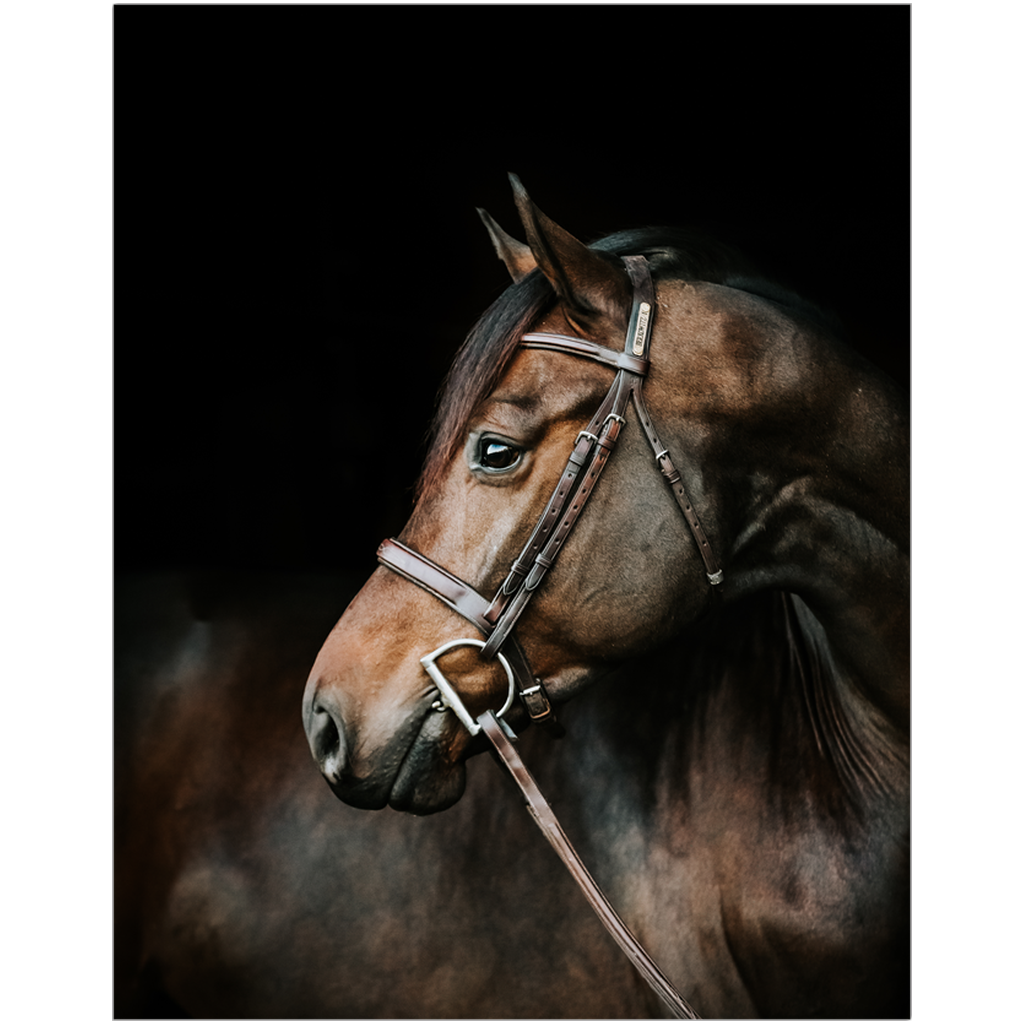 Jovial Series 3, Print