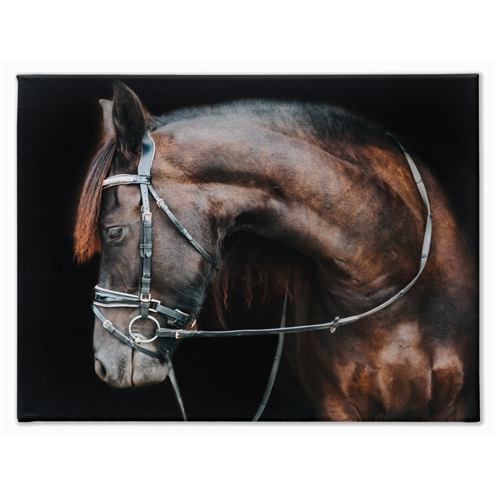 Regal Series 1, Stretched Canvas
