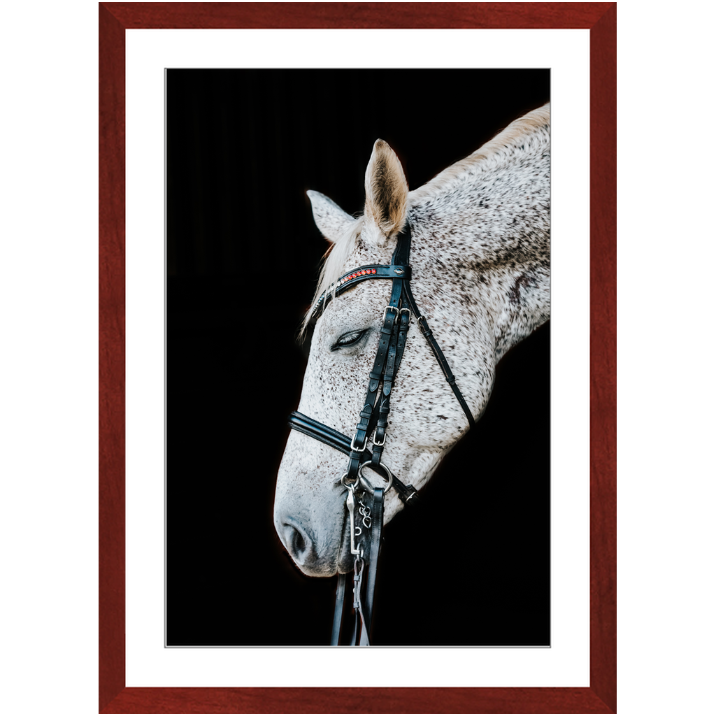 Apollo Series 1, Framed Print