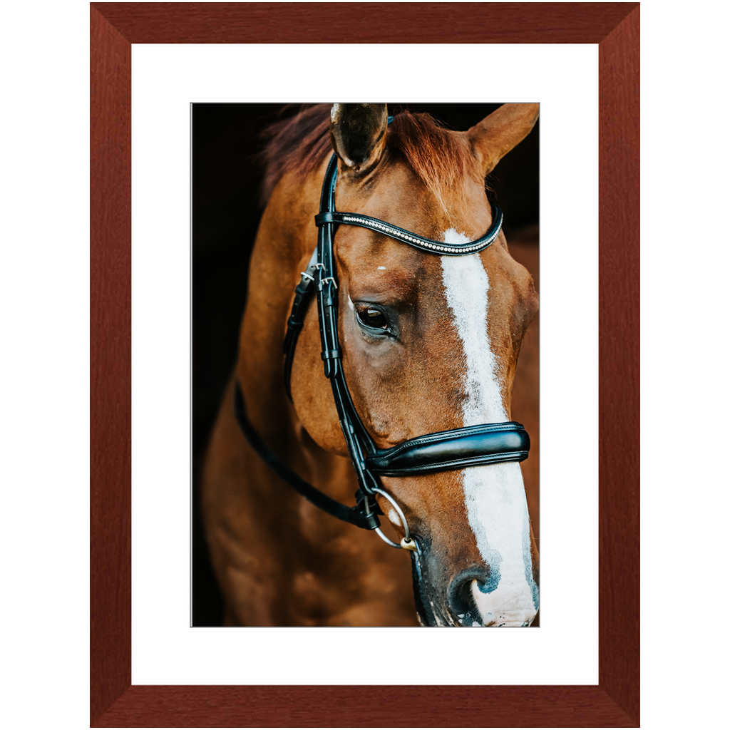 Hudson Series 3, Framed Print