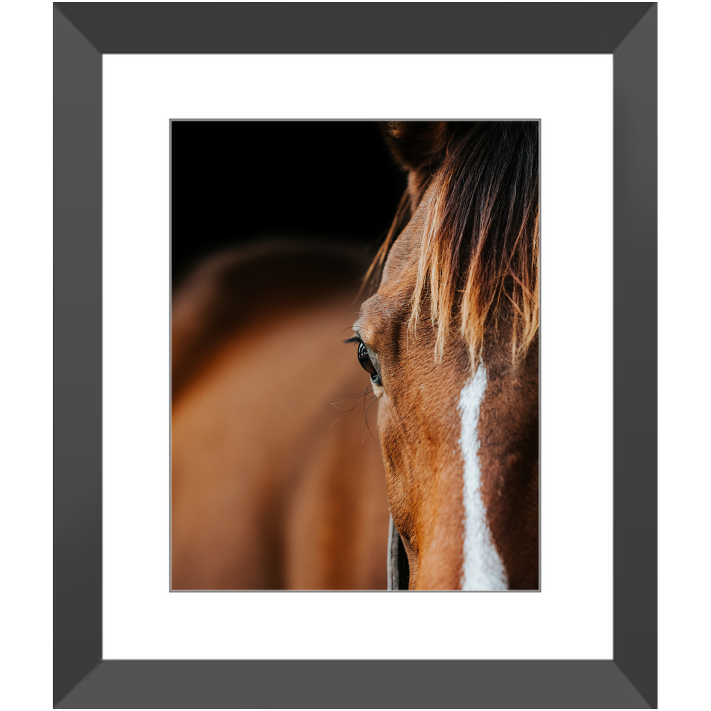 Majestic Series 1, Framed Print