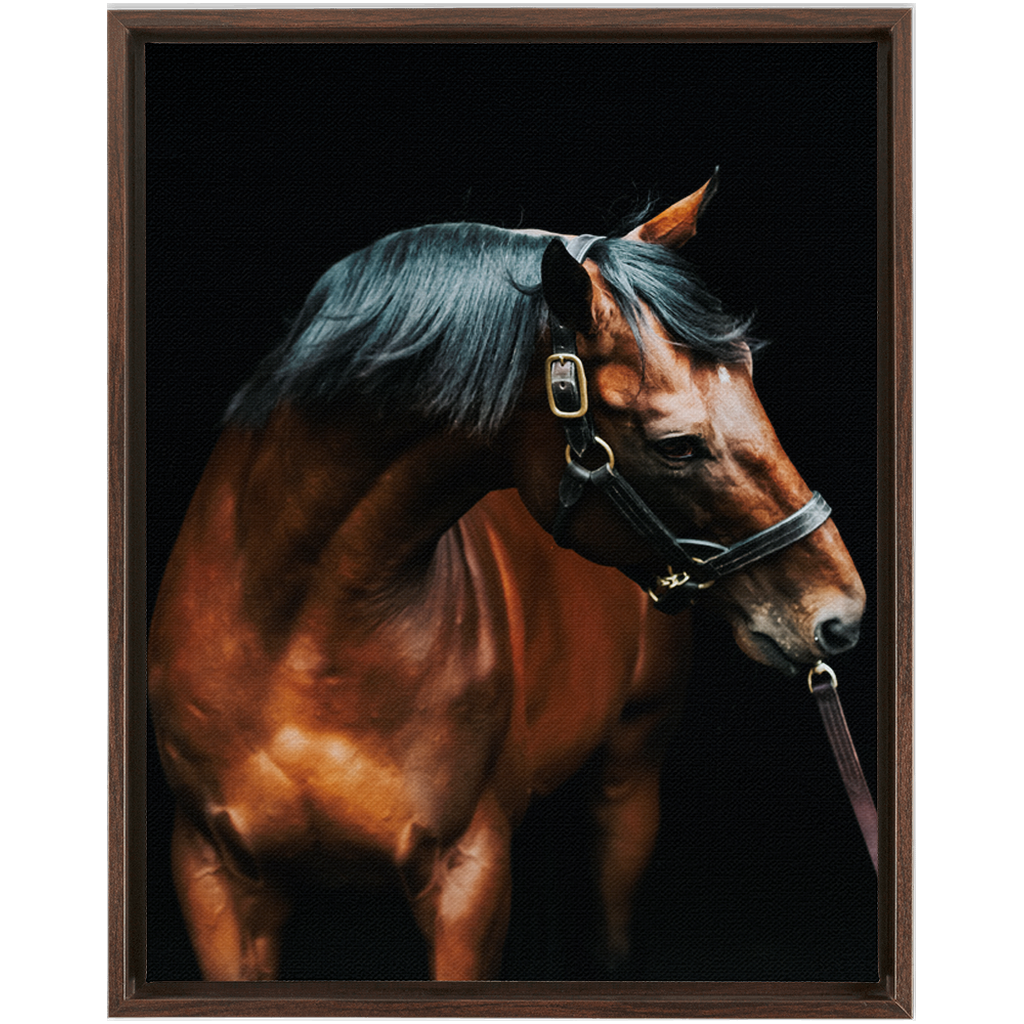 American Pharoah Series 3, Framed Canvas