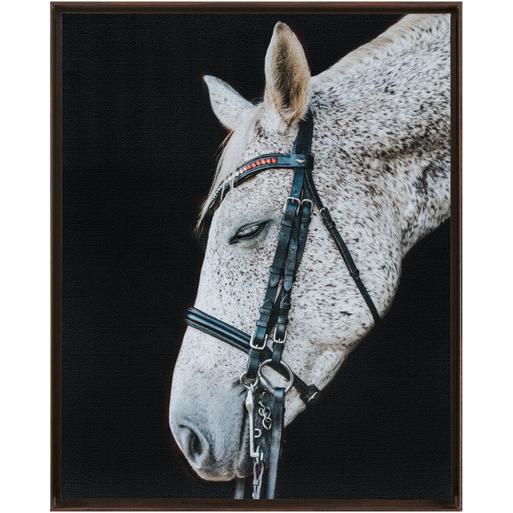 Apollo Series 1, Framed Canvas