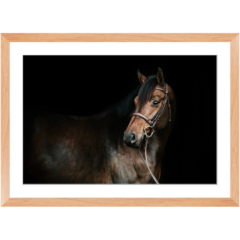 Jovial Series 2, Framed Print