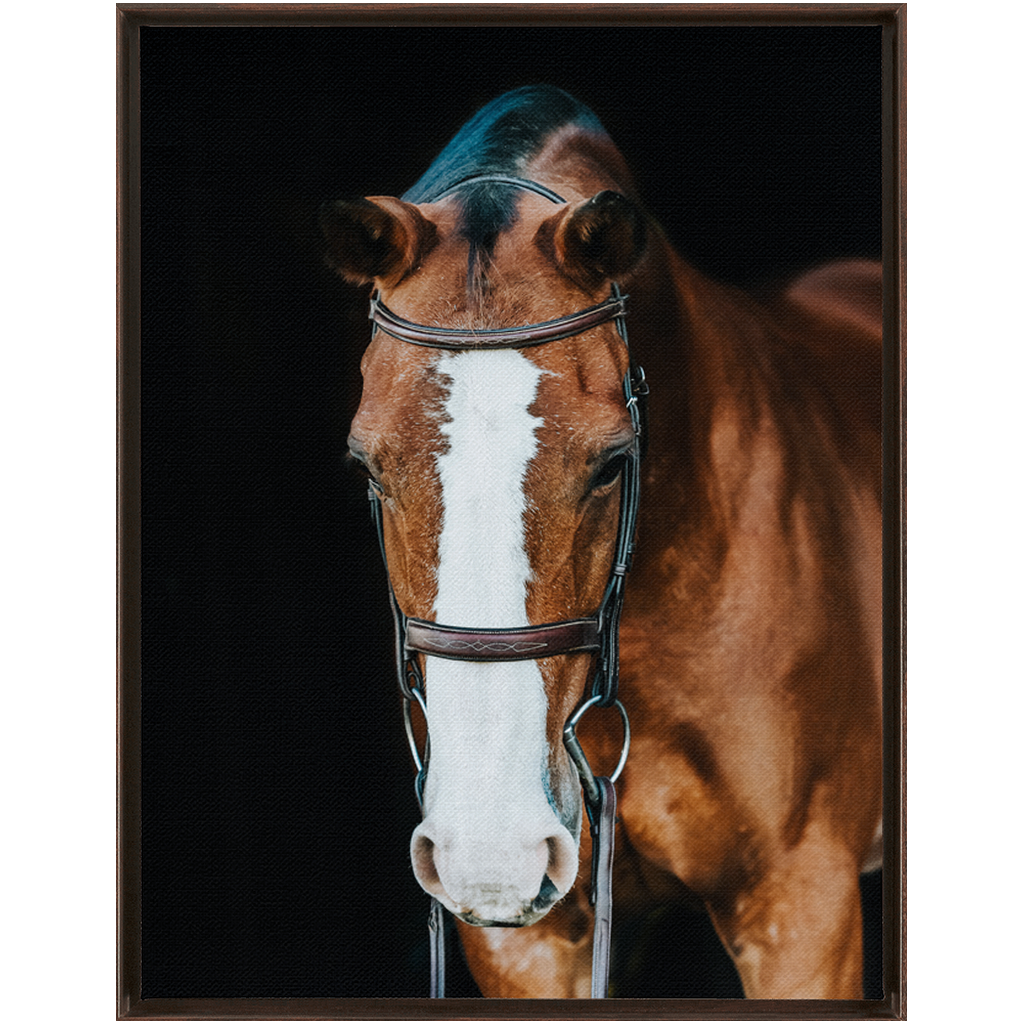 Huntsman Series 6, Framed Canvas
