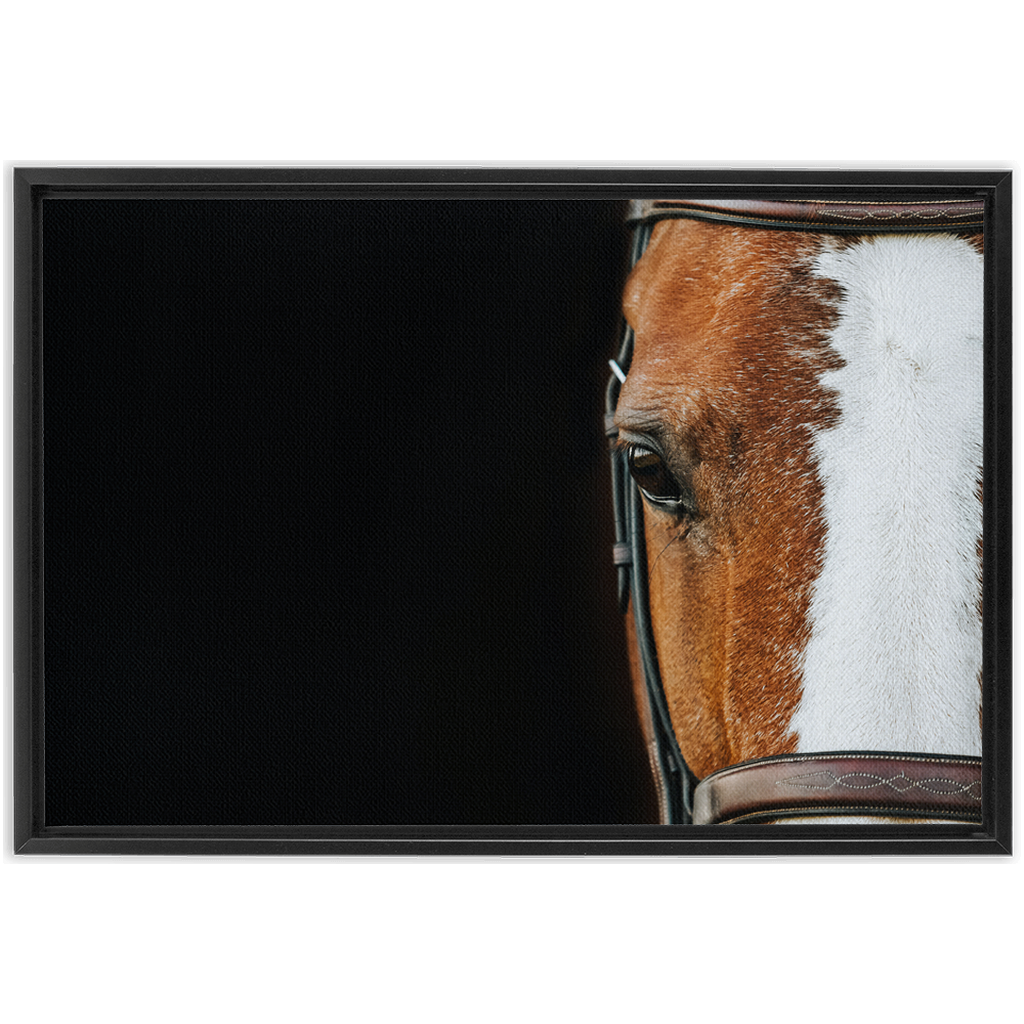 Huntsman Series 5, Framed Canvas