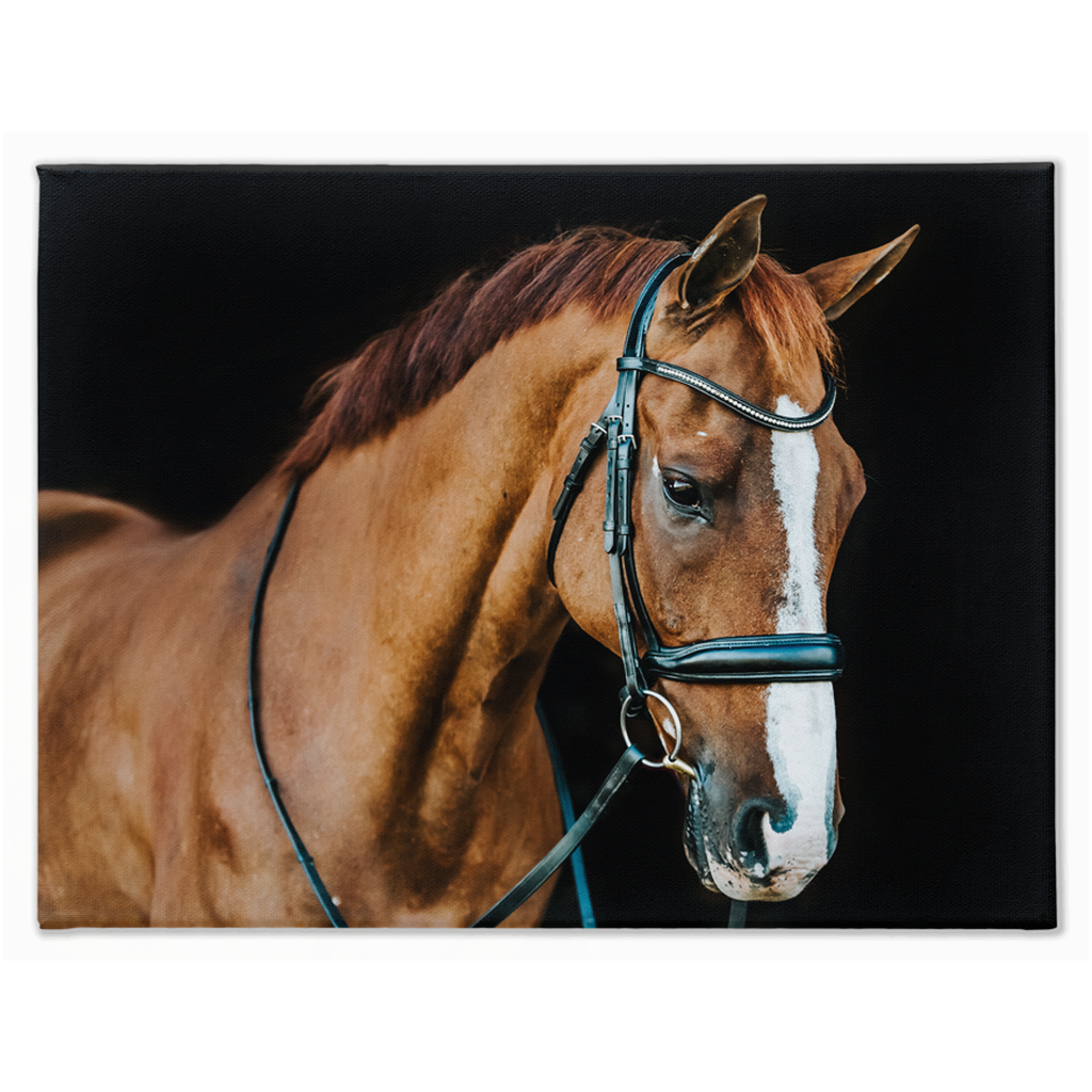 Hudson Series 1, Stretched Canvas
