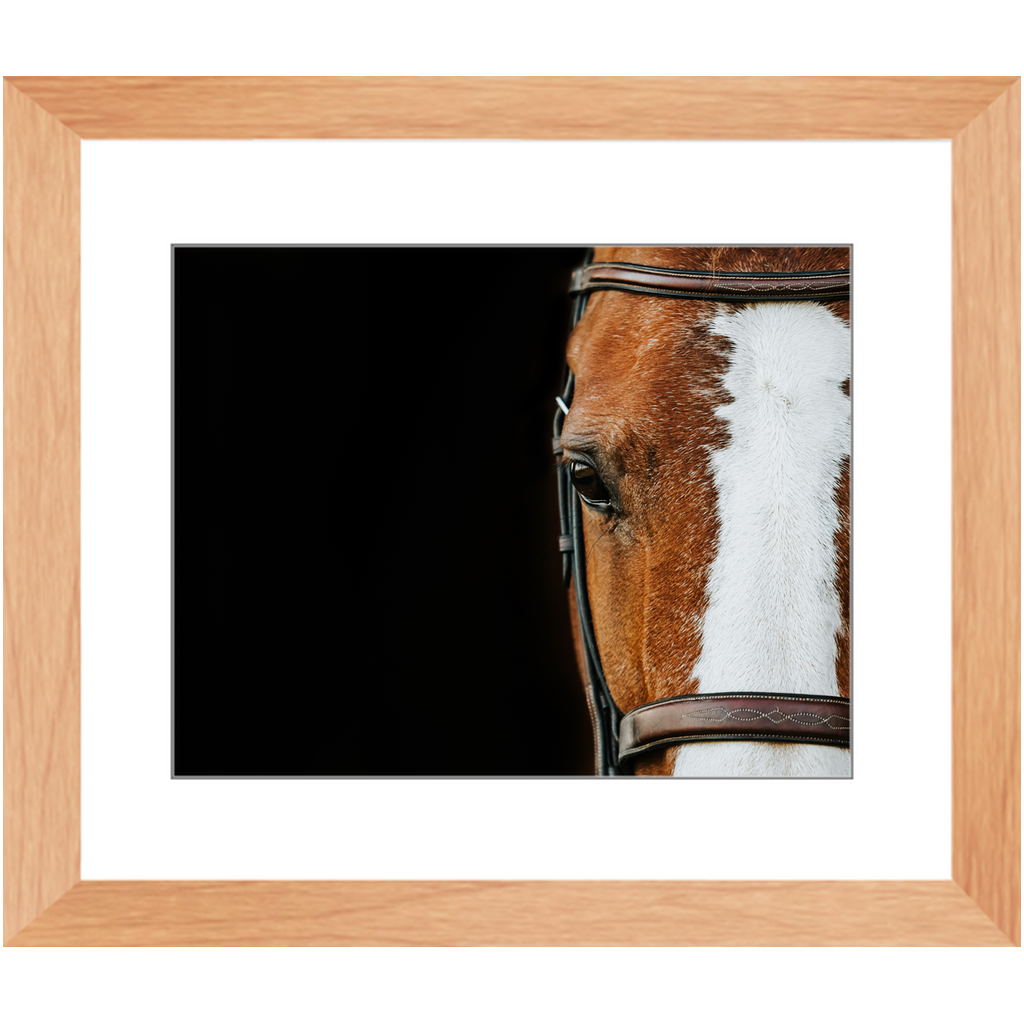 Huntsman Series 5, Framed Print