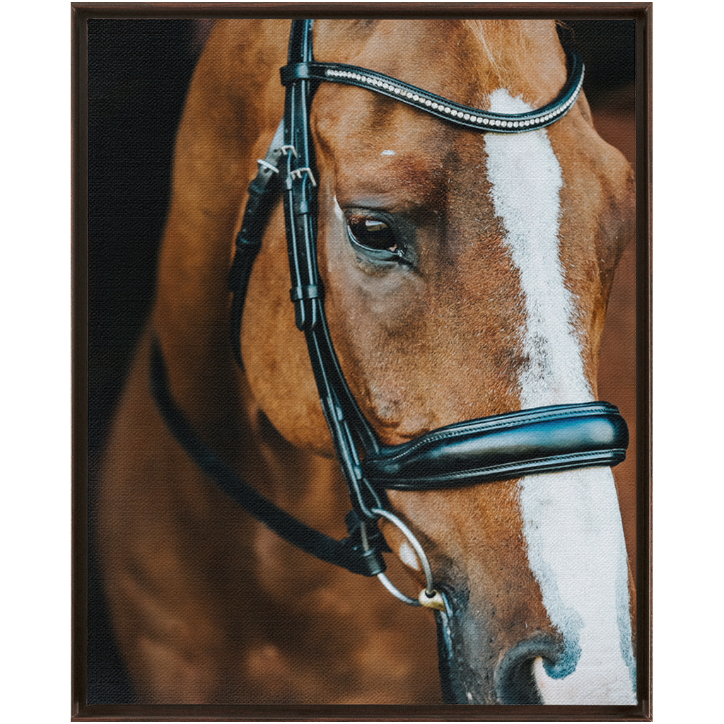 Hudson Series 3, Framed Canvas