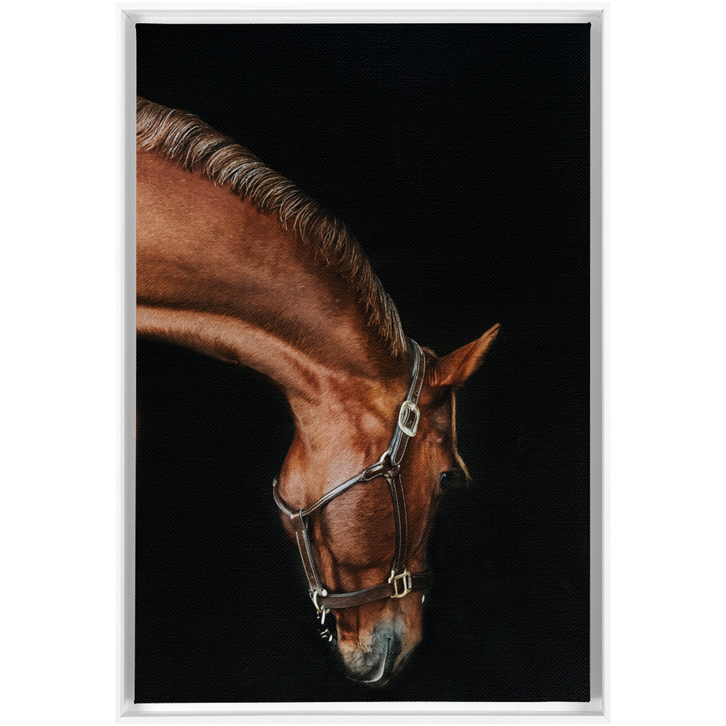 Django Series 6, Framed Canvas
