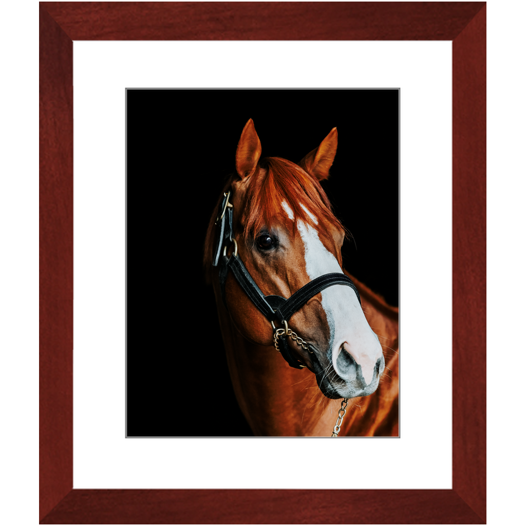 Justify Series 2, Framed Print