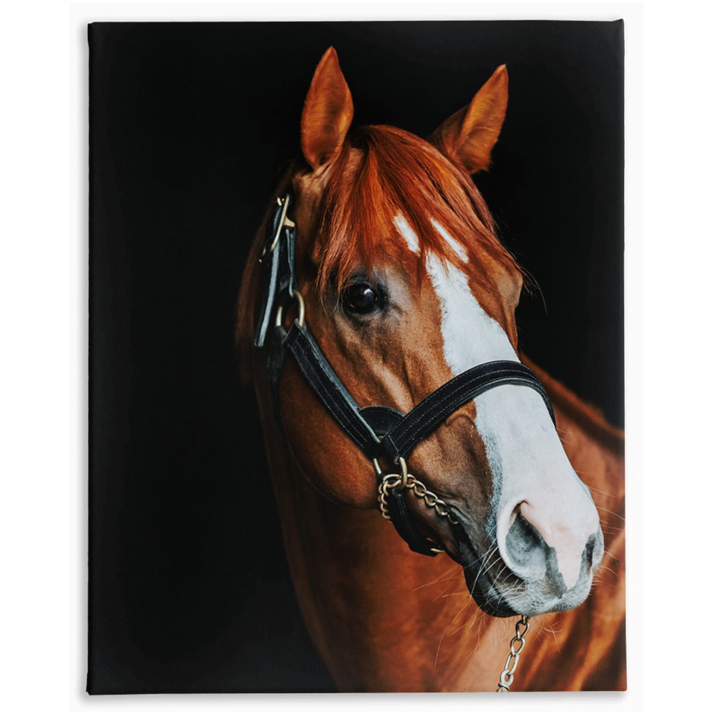 Justify Series 2, Stretched Canvas