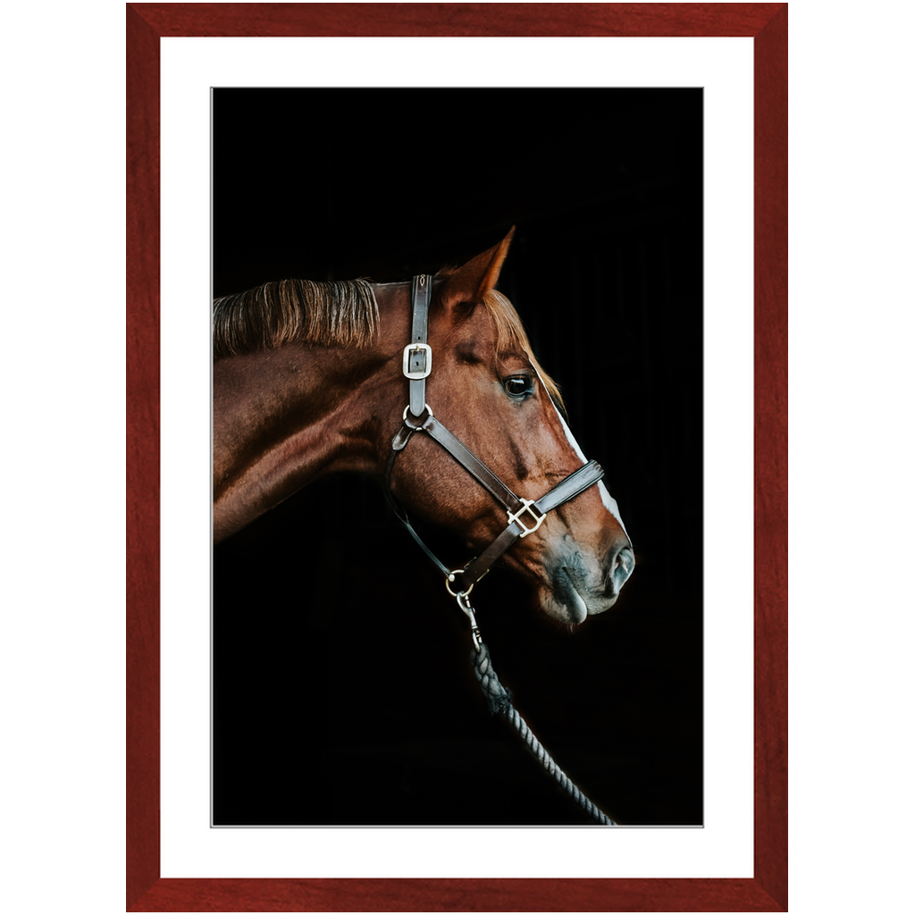 Django Series 3, Framed Print