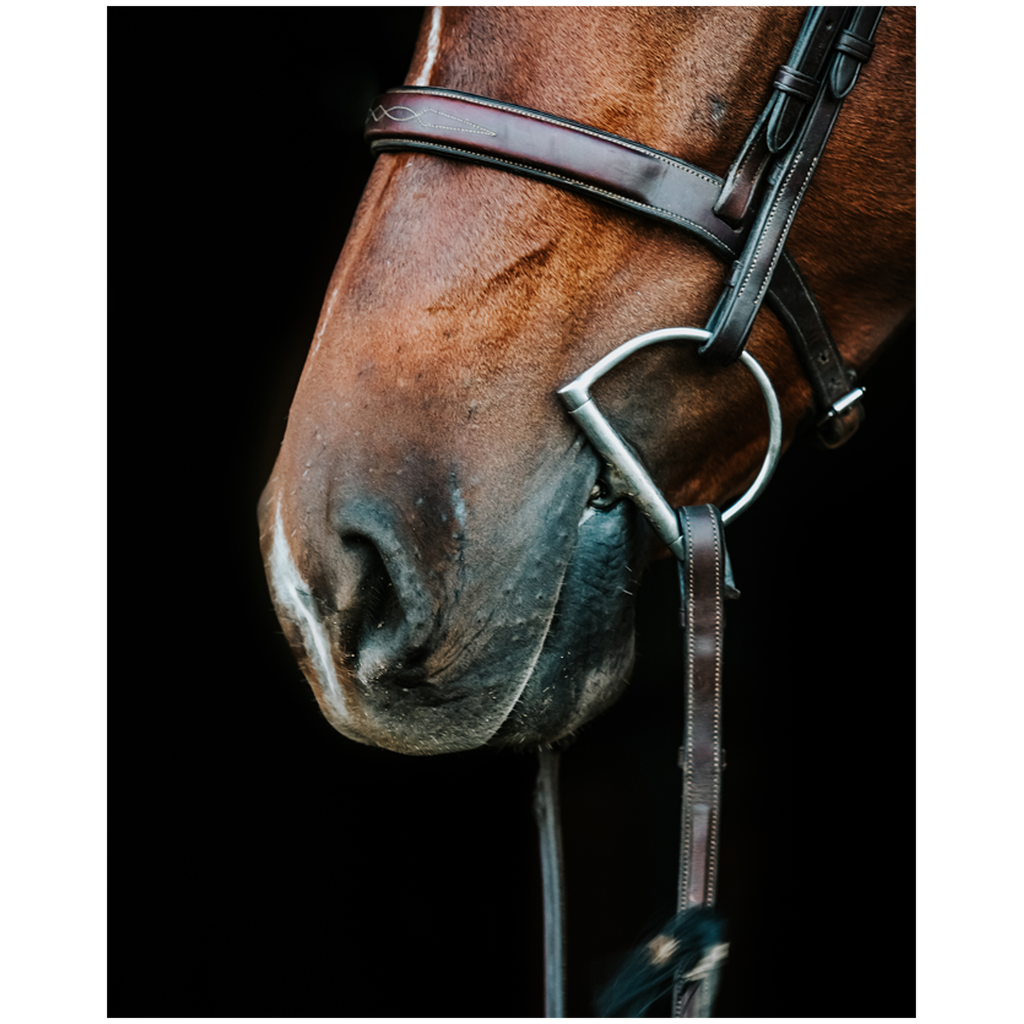 Monterey Series 5, Print