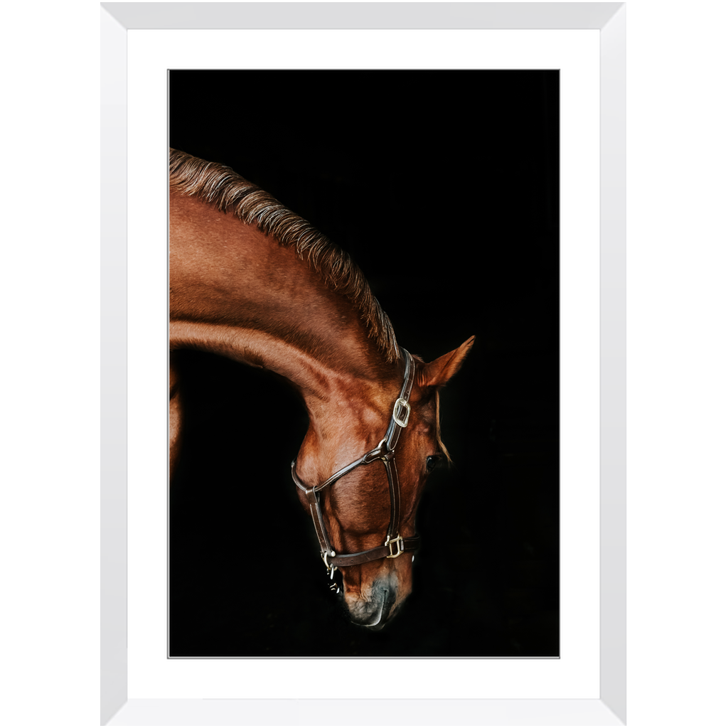 Django Series 6, Framed Print