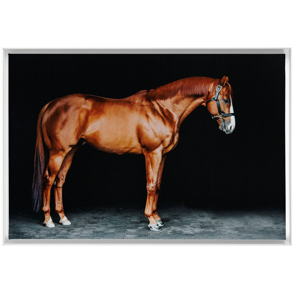 Justify Series 6, Framed Canvas