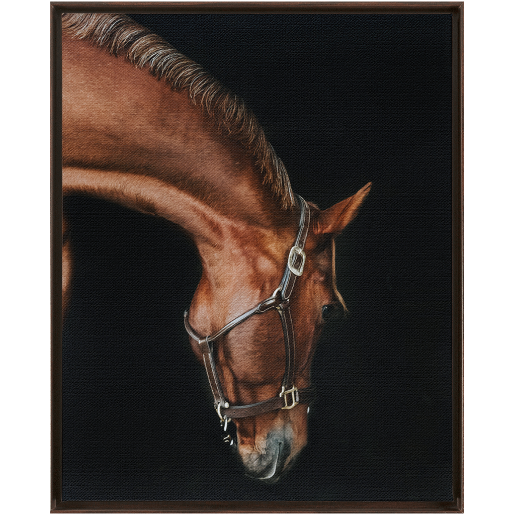 Django Series 6, Framed Canvas