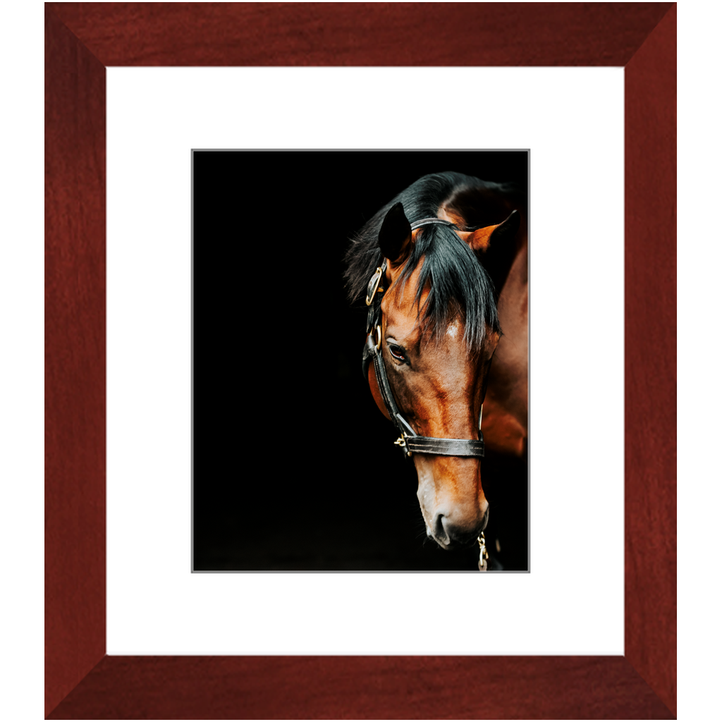 American Pharoah Series 6, Framed Print