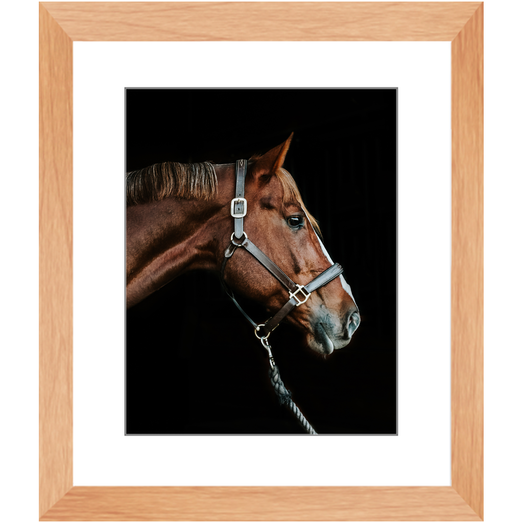 Django Series 3, Framed Print
