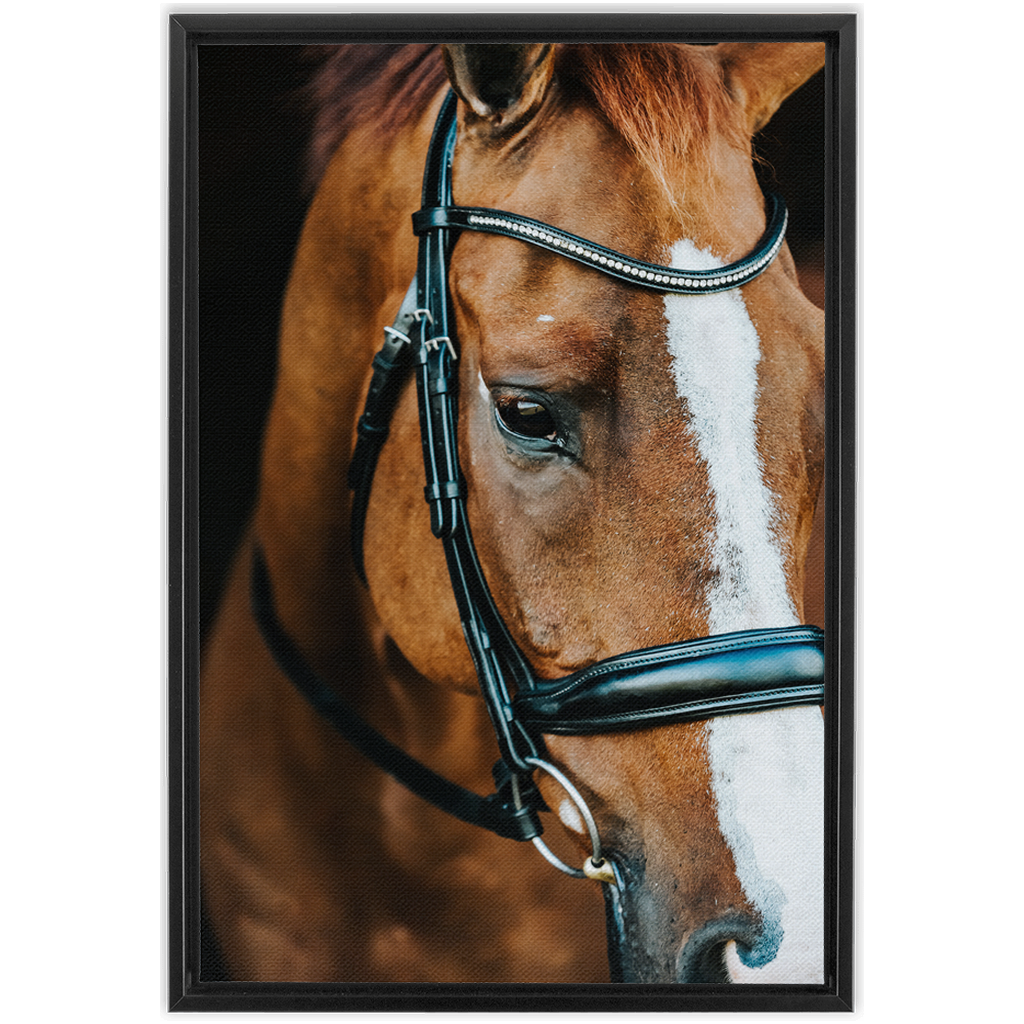 Hudson Series 3, Framed Canvas