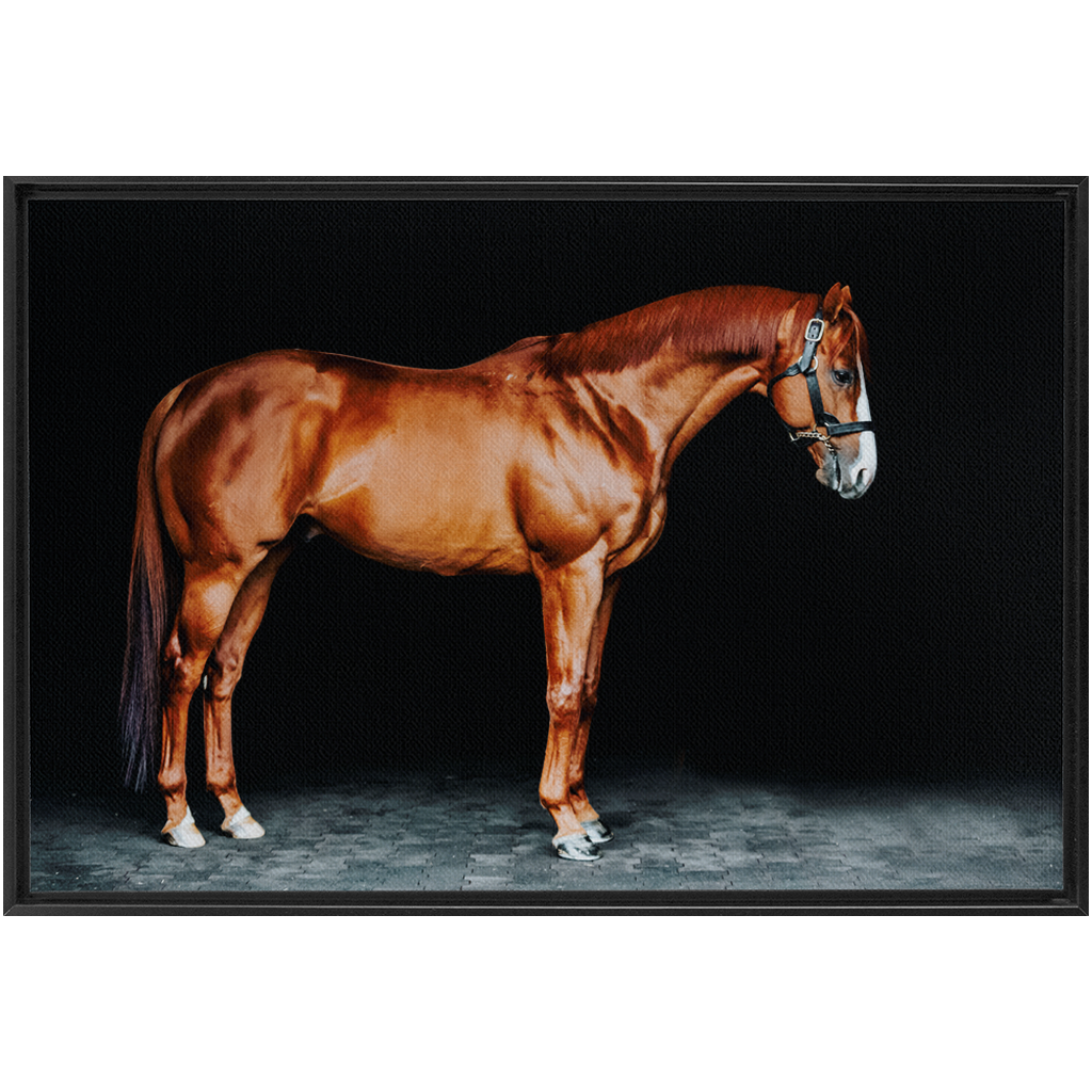 Justify Series 6, Framed Canvas