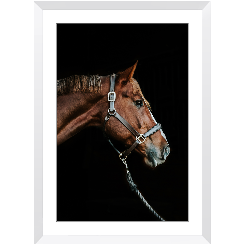 Django Series 3, Framed Print
