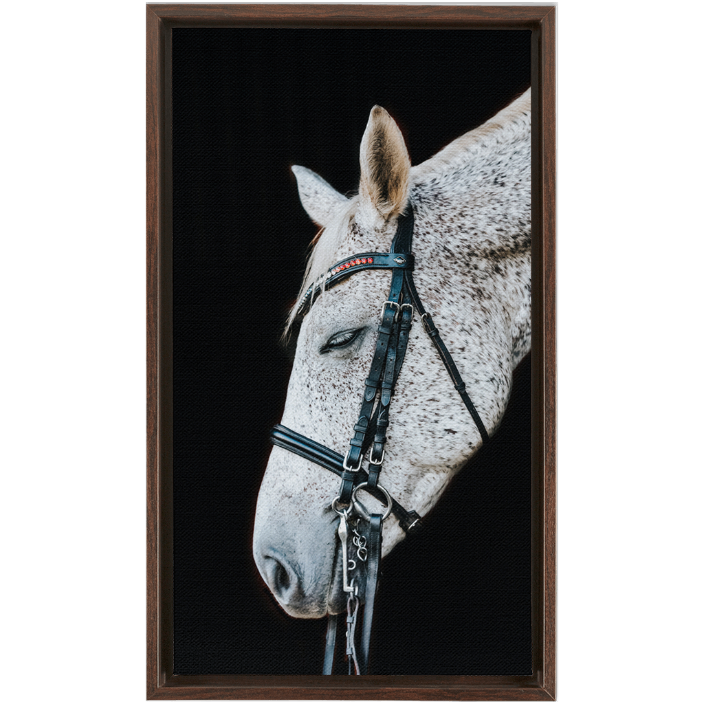 Apollo Series 1, Framed Canvas