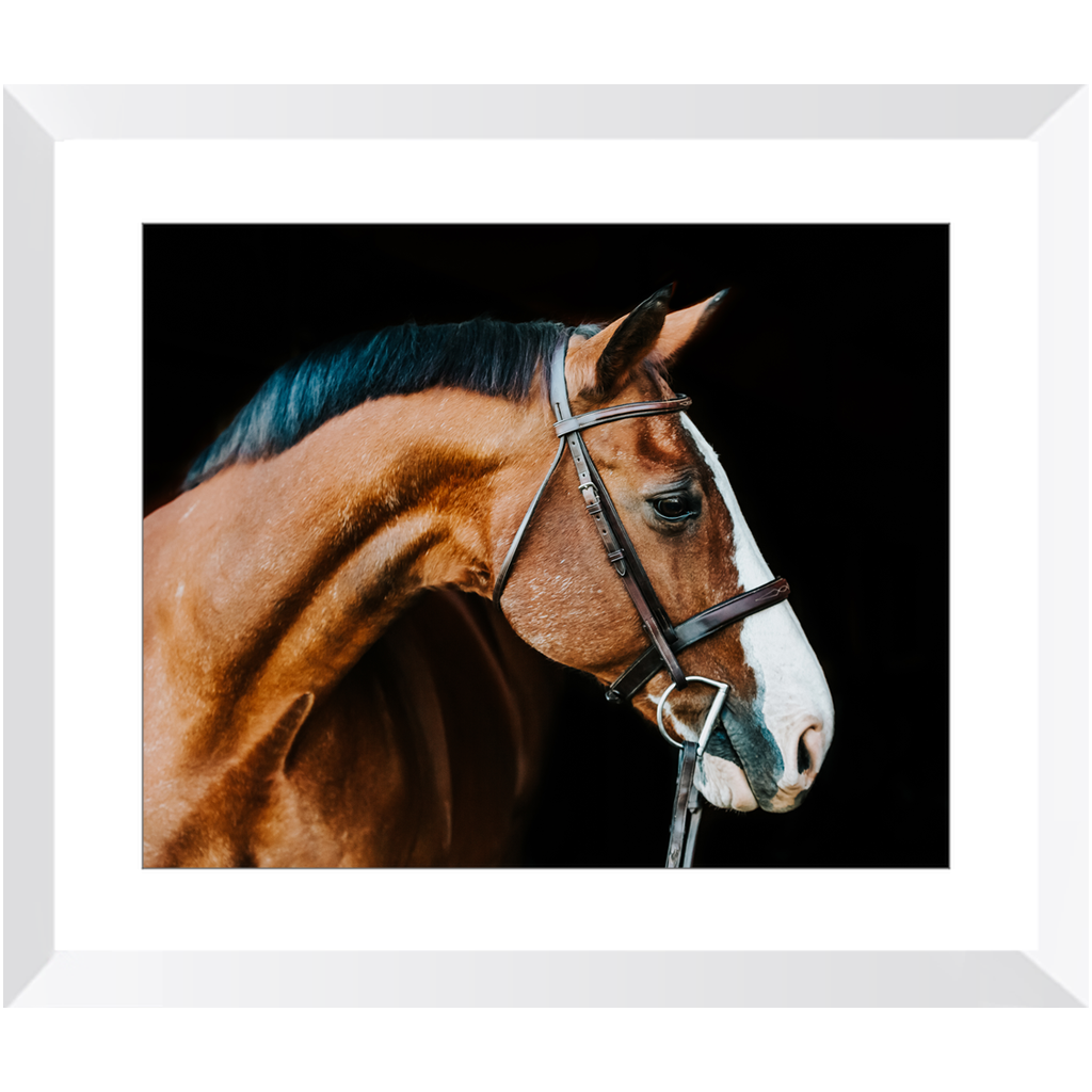 Huntsman Series 3, Framed Print