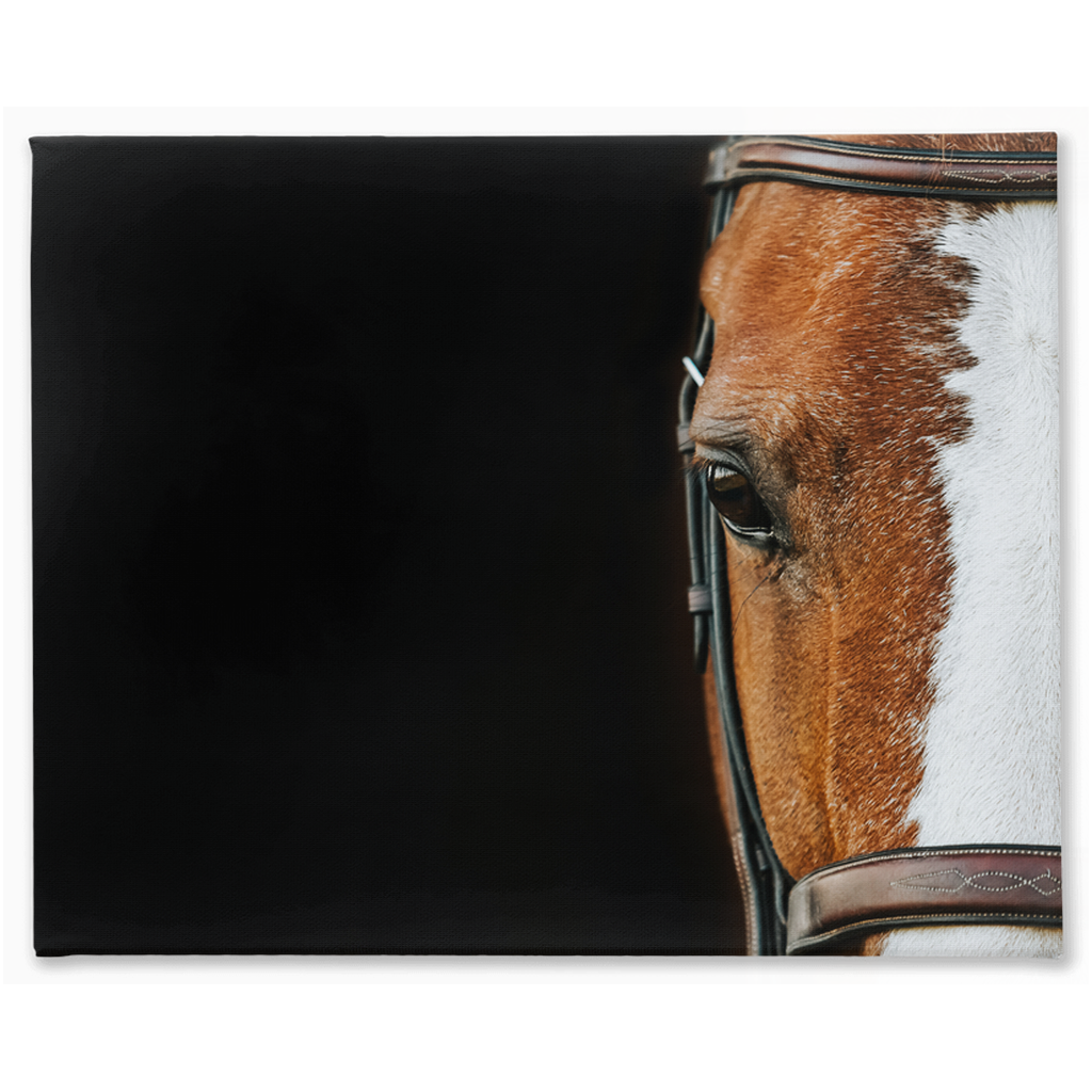 Huntsman Series 5, Stretched Canvas