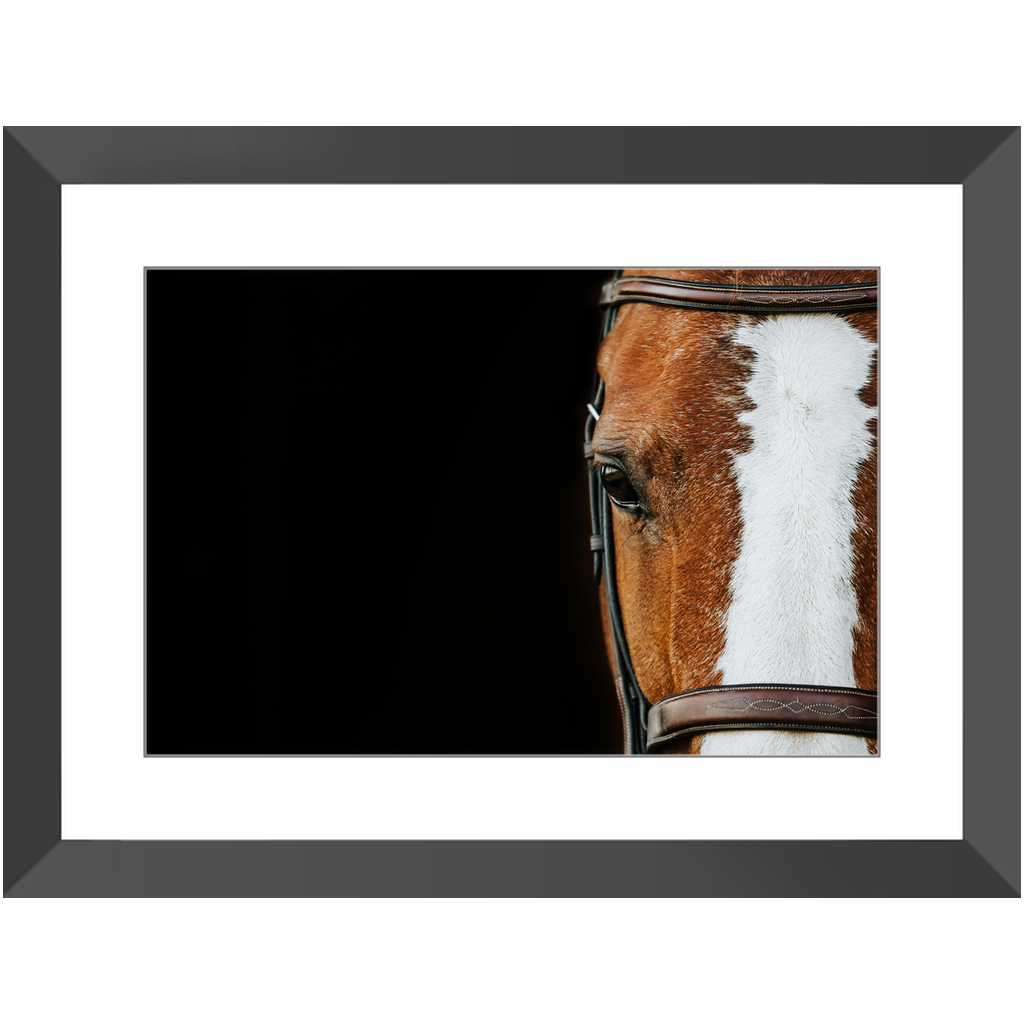 Huntsman Series 5, Framed Print