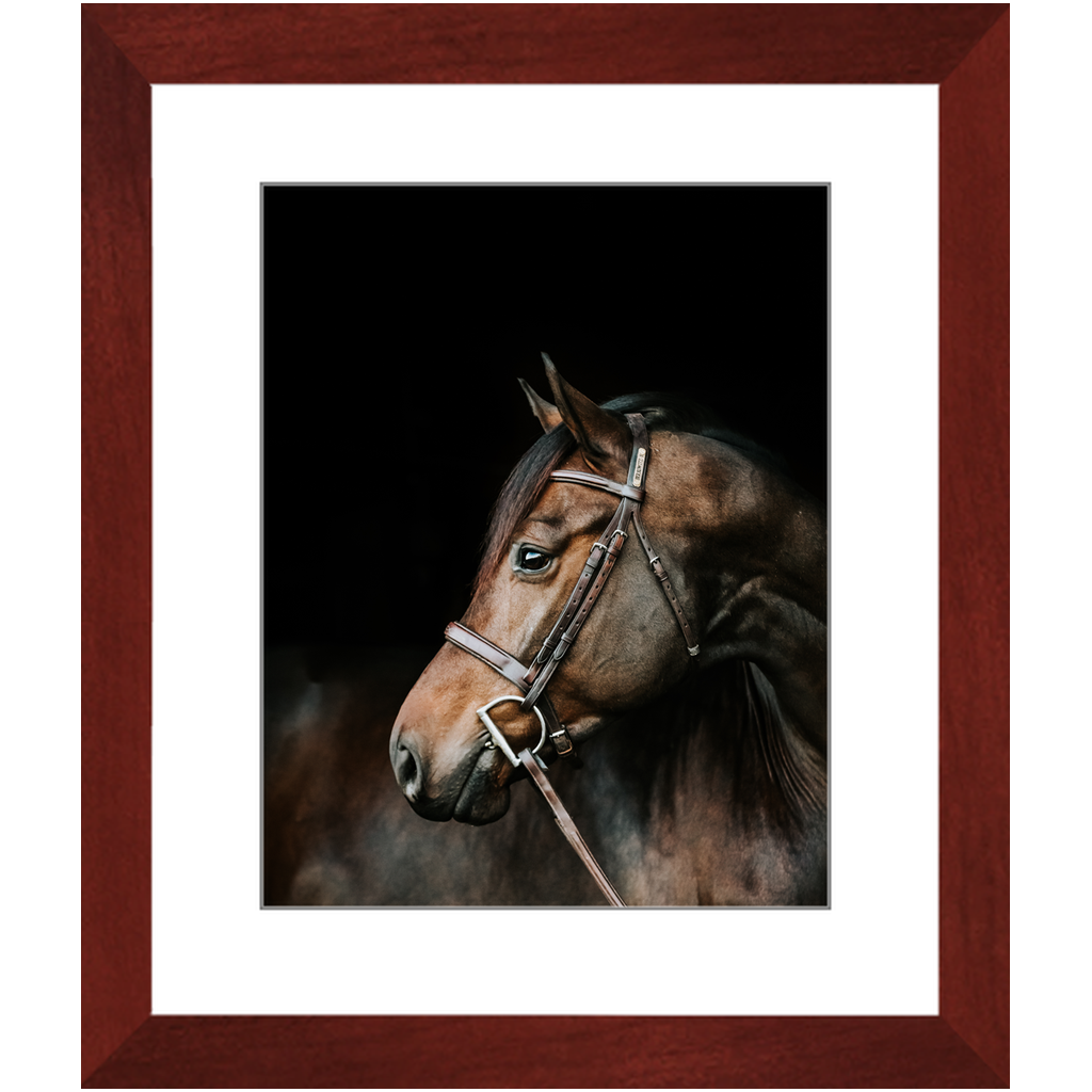 Jovial Series 3, Framed Print