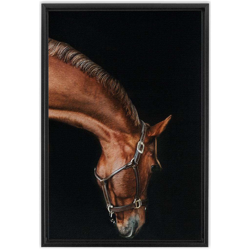 Django Series 6, Framed Canvas