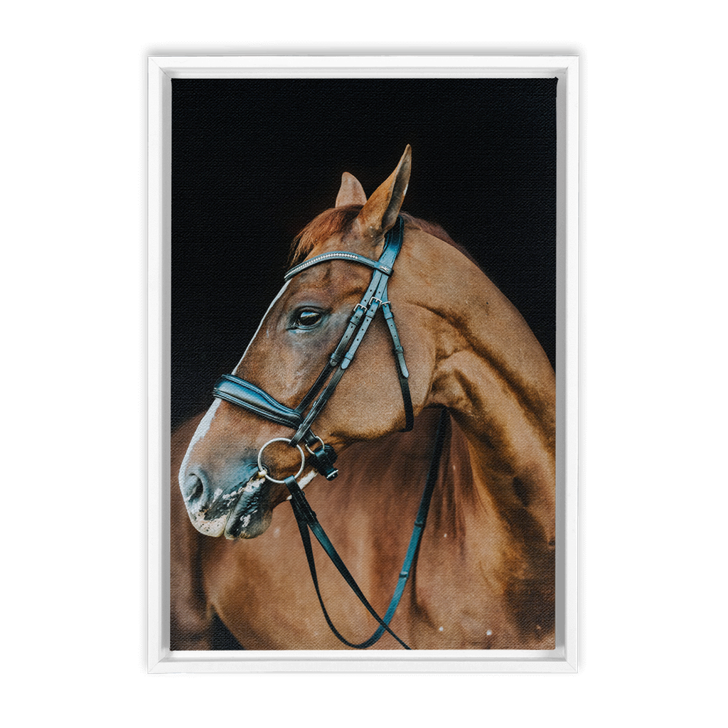 Hudson Series 6, Framed Canvas