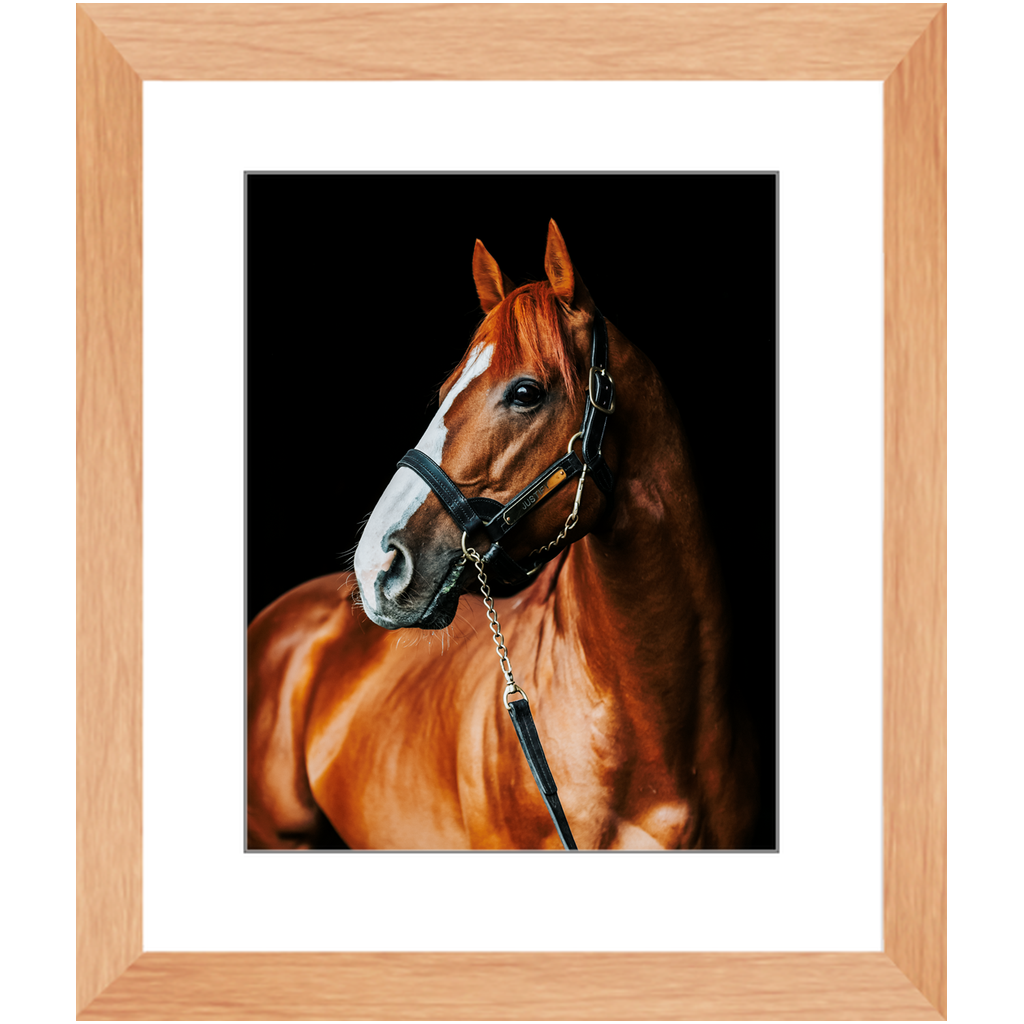 Justify Series 1, Framed Print